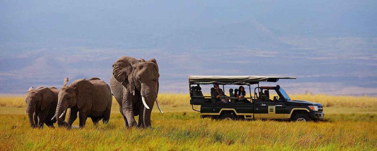 Book The Best Tanzania Wildlife Adventure For Your Next Holidays
