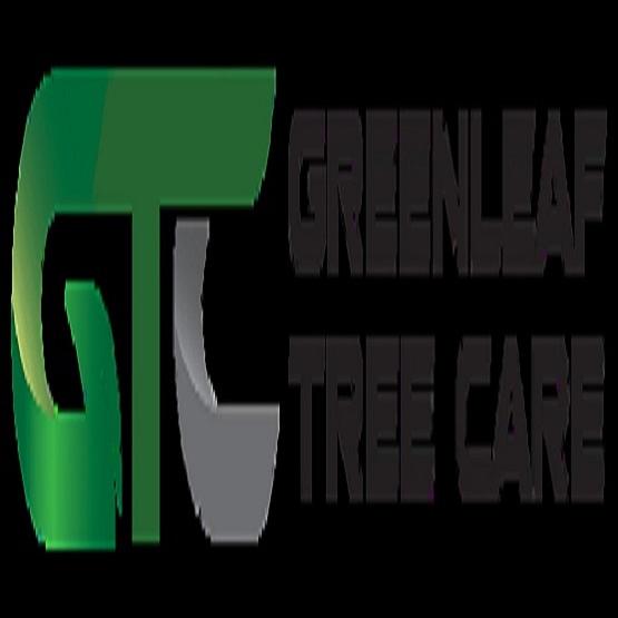 GreenLeaf Tree Care
